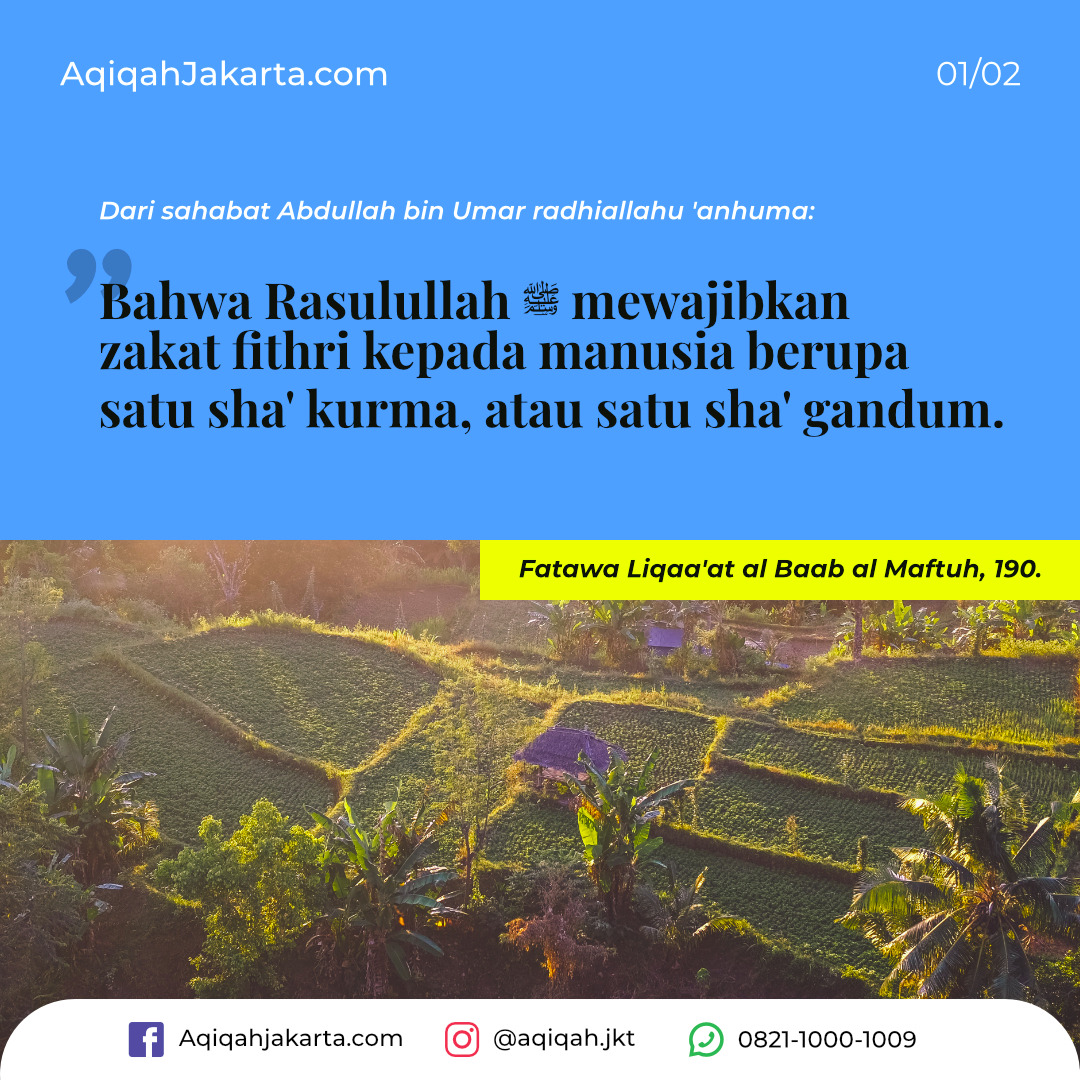 takaran zakat fitri