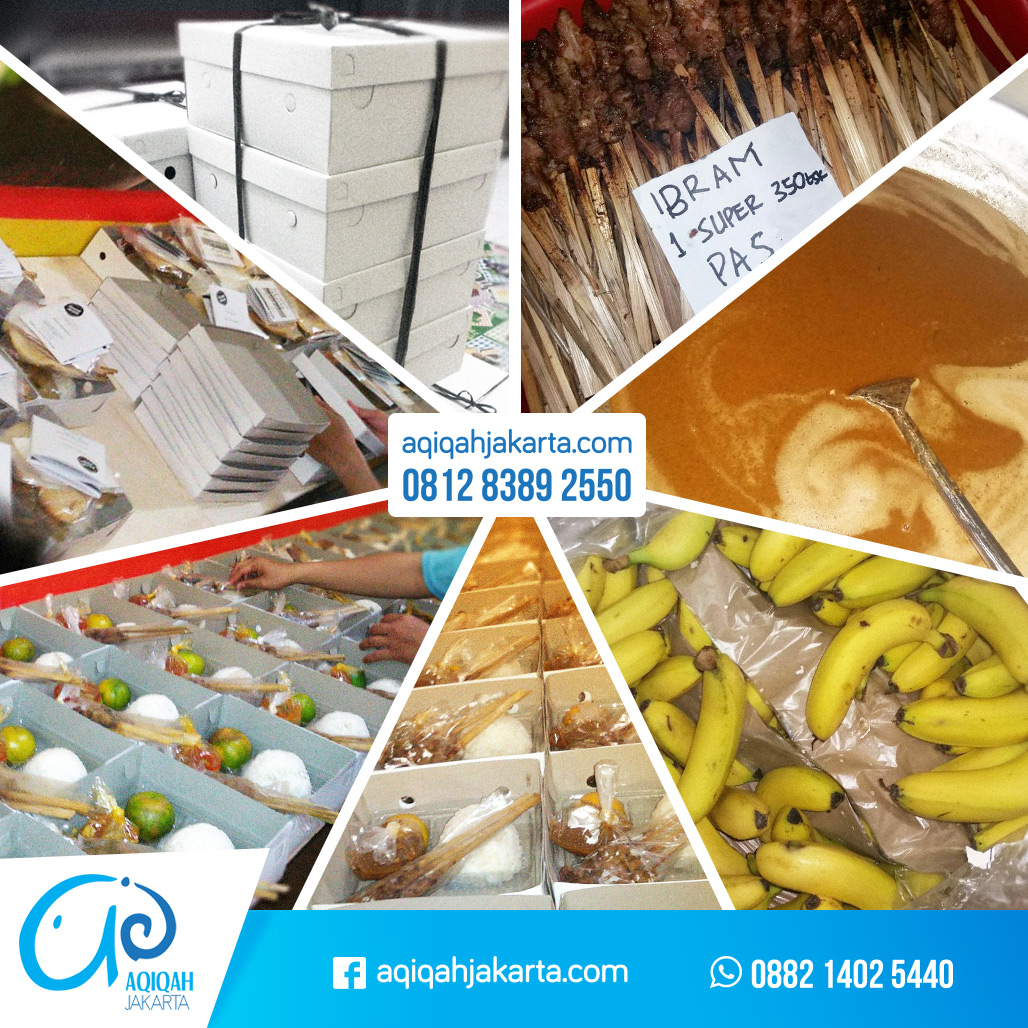 Jual Kambing Souvenir Aqiqah Murah